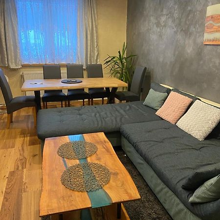 Apartman Orlicke Hory Orlicke Zahori المظهر الخارجي الصورة