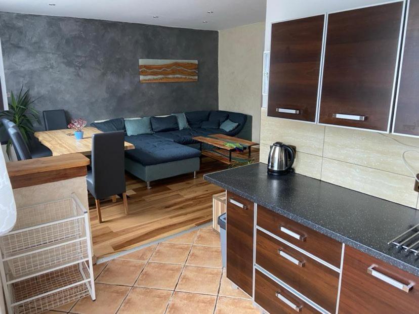 Apartman Orlicke Hory Orlicke Zahori المظهر الخارجي الصورة
