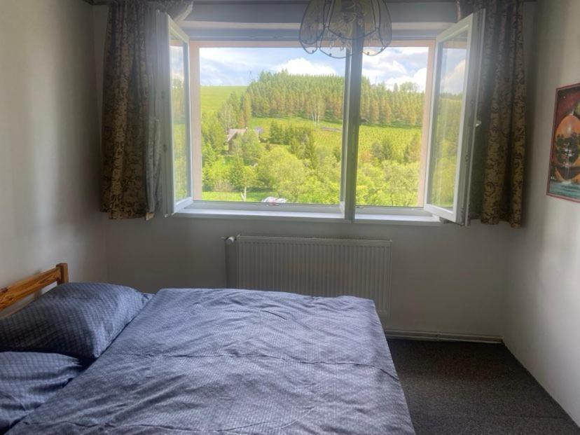 Apartman Orlicke Hory Orlicke Zahori المظهر الخارجي الصورة