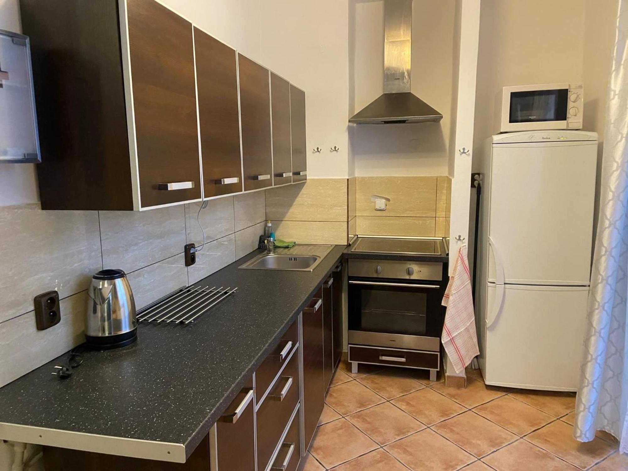 Apartman Orlicke Hory Orlicke Zahori المظهر الخارجي الصورة